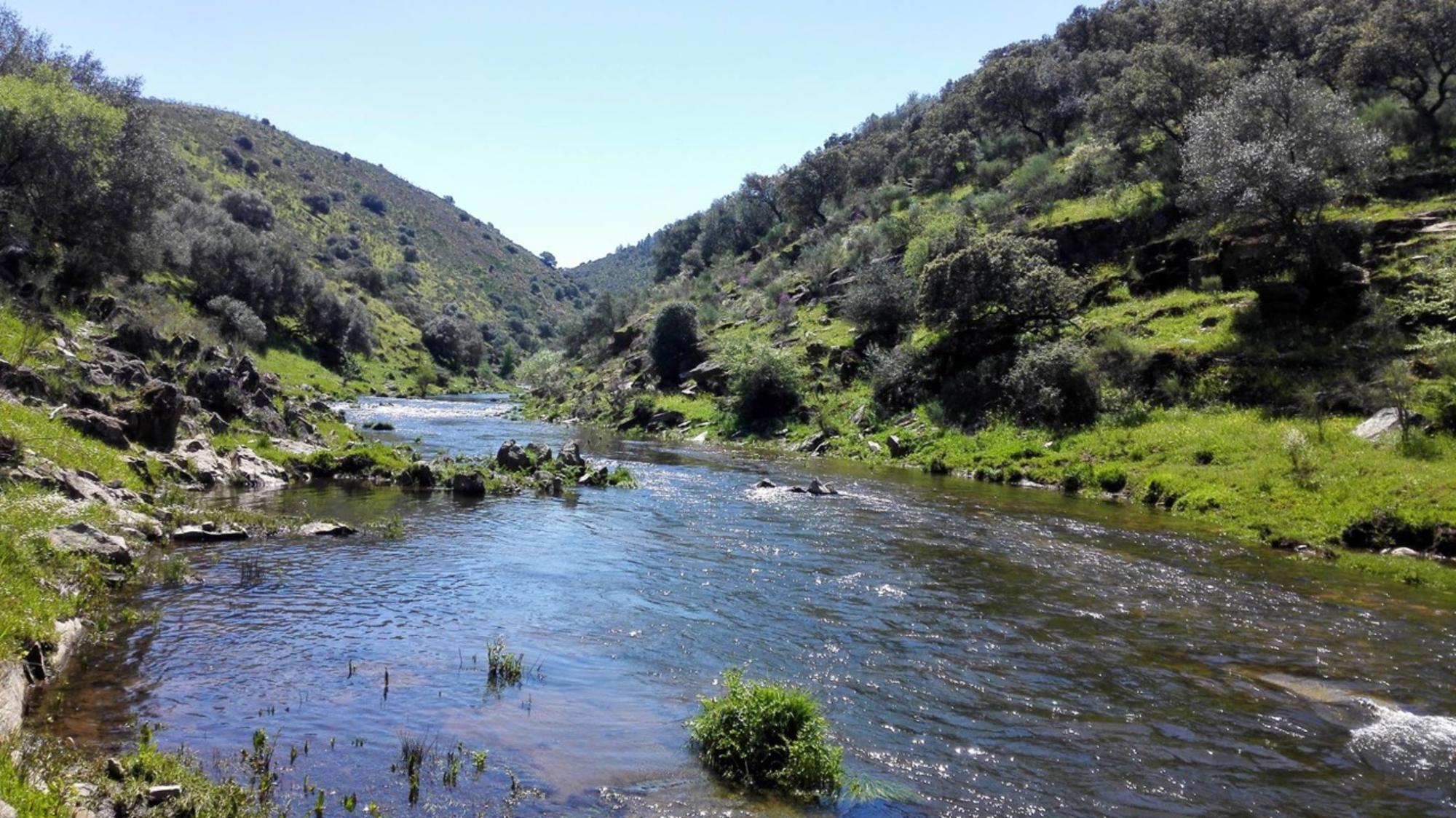 El río Ibor